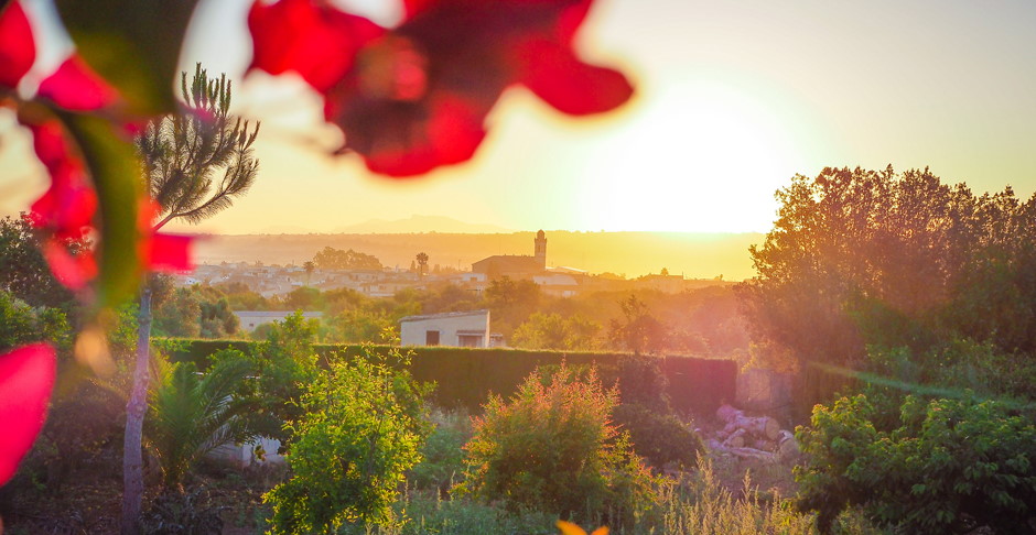 Sonnenaufgang Mallorca Urlaub - Tolle Urlaubsfotos: 11 Tipps für bessere Bilder auf Reisen