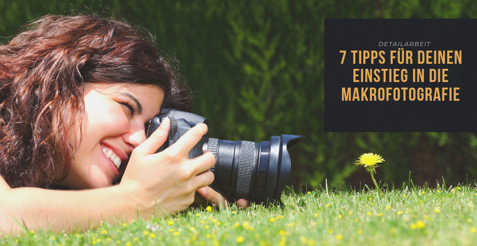 Makrofotografie 7 Tipps Anfaenger 2 - Makrofotografie für Anfänger: 7 Tipps die dir den Einstieg erleichtern