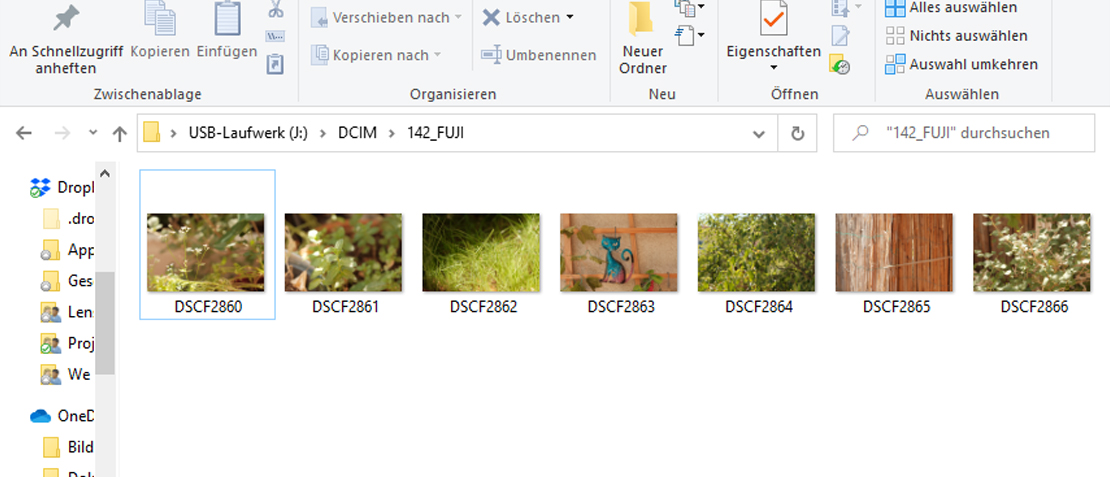 Raw Dateien Windows 10 mit Vorschau
