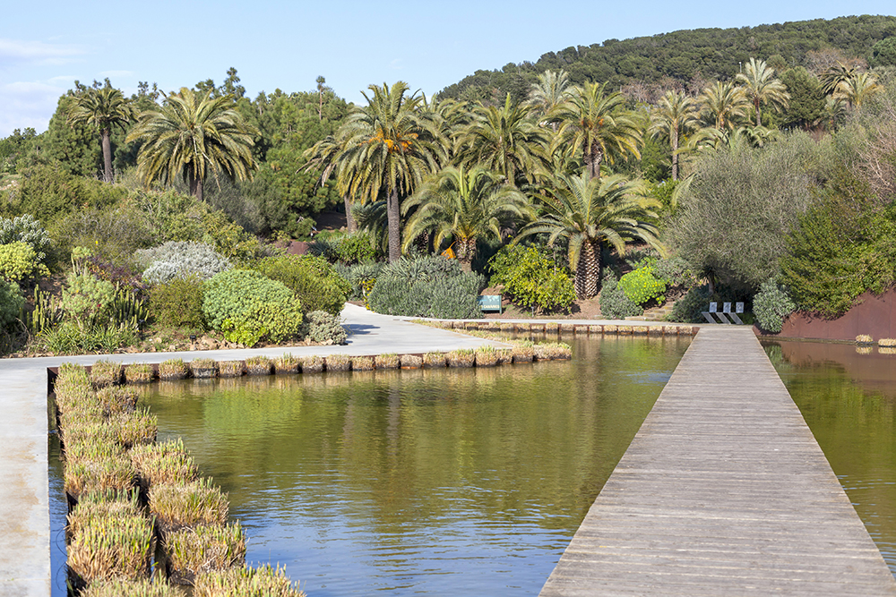 Barcelona Botanischer Garten 1 - 17 geniale Fotospots in Barcelona, die du besuchen musst (+Bonus)!