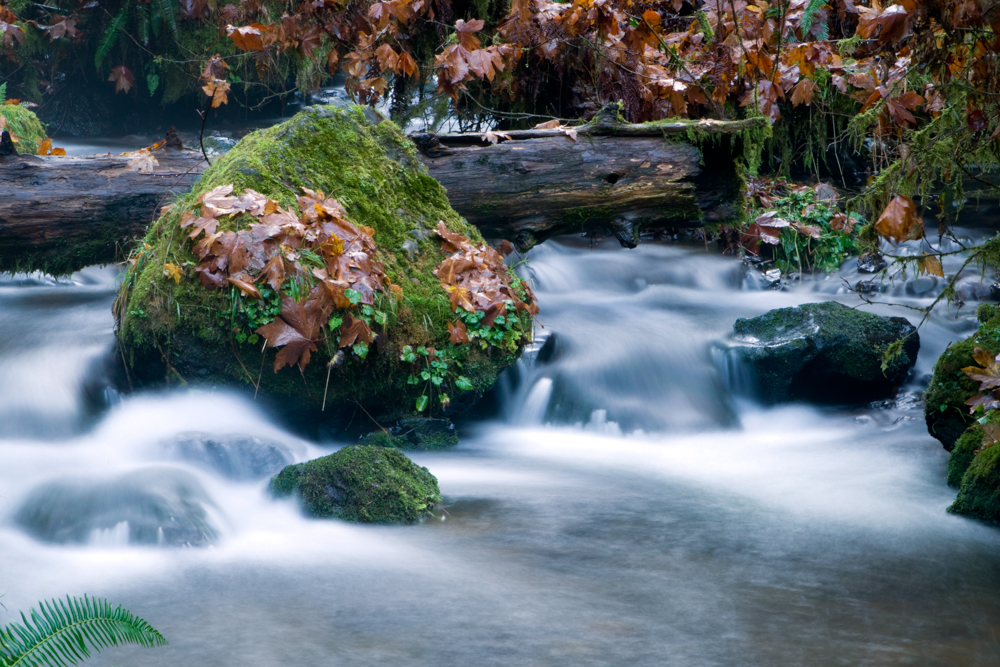 Langzeitbelichtung Wasser Bach - Fließendes Wasser fotografieren  –  Tipps für deine Langzeitaufnahme