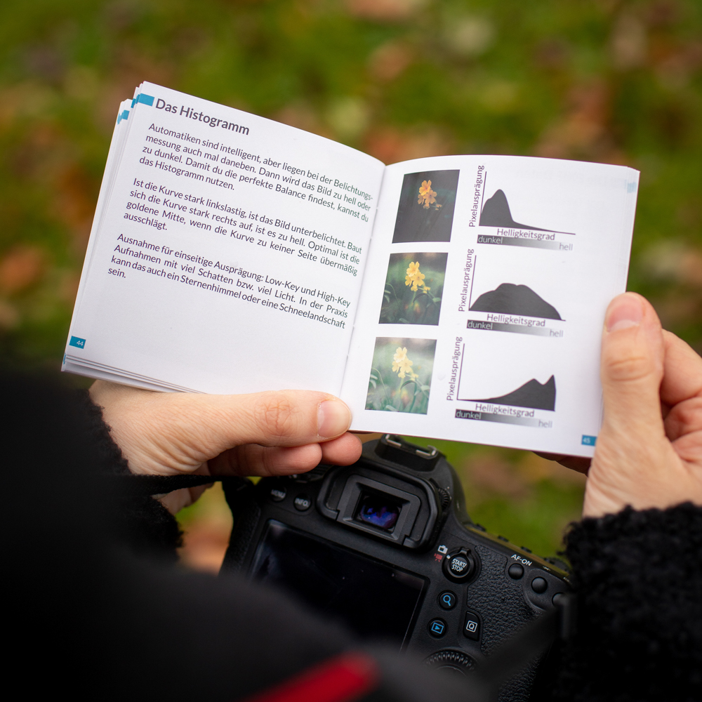 Lens Aid Pocket Guide 8 - Fotografie Grundlagen: Pocket Guide sichern & bessere Fotos machen