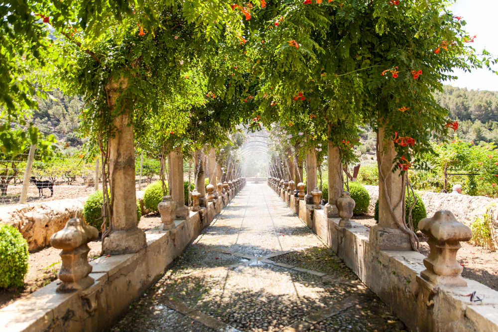 Die Gärten von Alfabia sind eine grüne Oase und ein hervorragendes Fotomotiv