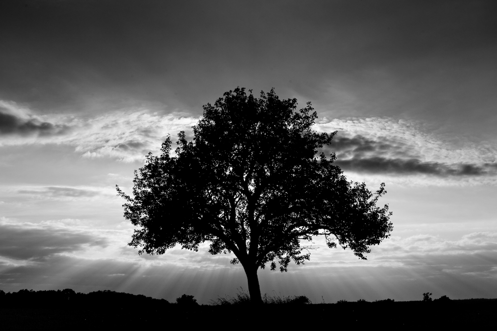 Schwarz Weiss Fotografie Landschaft Licht und Schatten 2