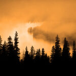 Wald Silhouette 150x150 - Fotografieren bei Minusgraden: Ausrüstung & Tipps