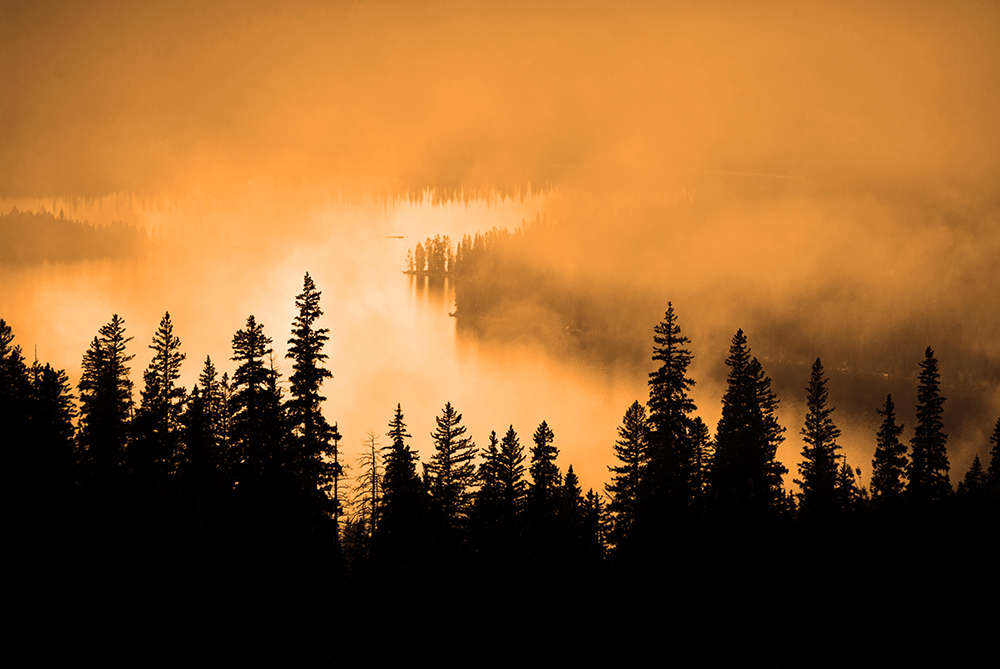 Wald Silhouette - Silhouetten fotografieren: So gelingt dir ein tolles Silhouetten-Foto