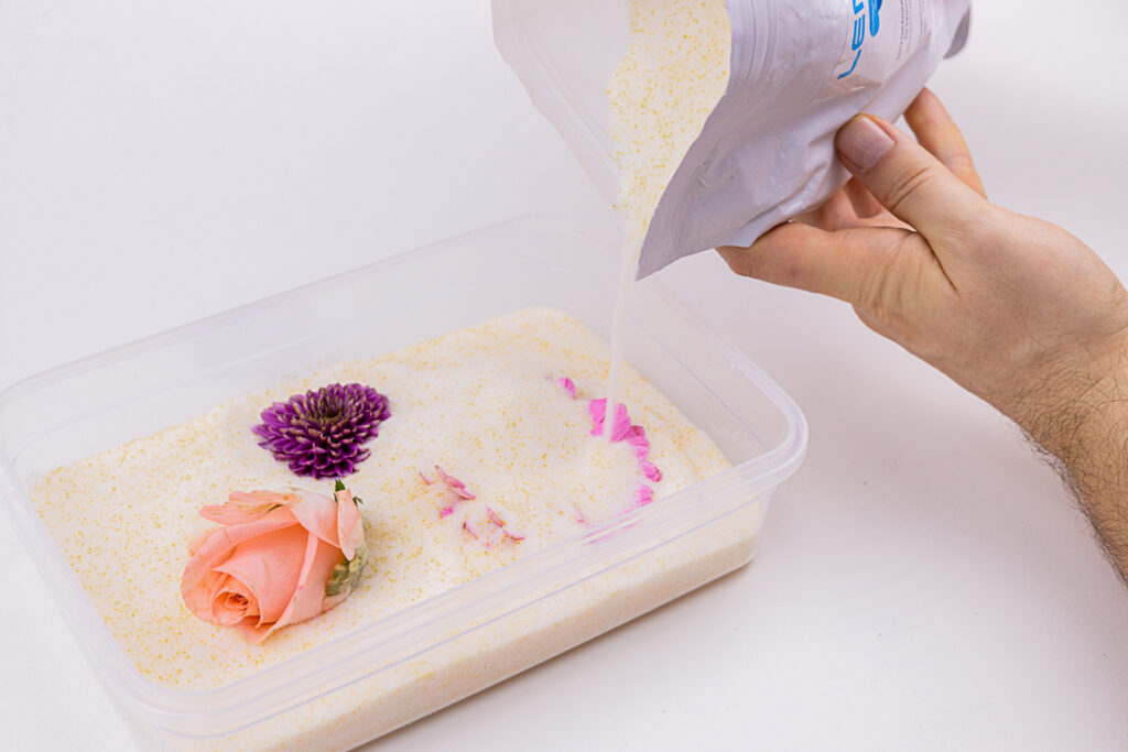 Blumen trocknen mit Silica Gel