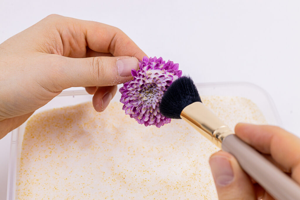 Getrocknete Blumen Pinsel