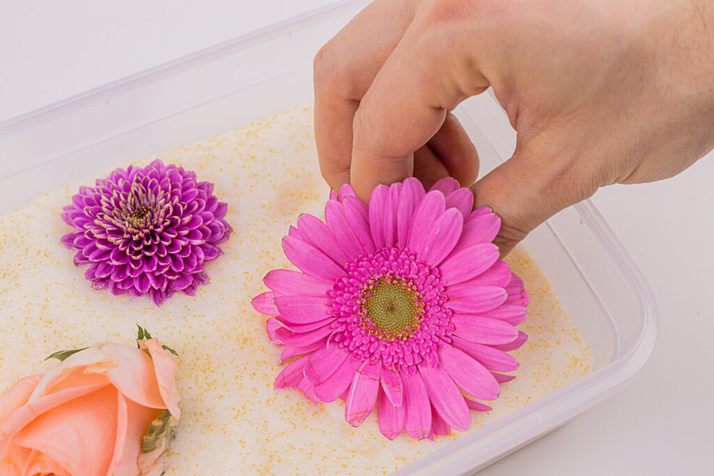Silica Gel Blumen trocknen Schale